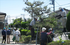 植木剪定講習会